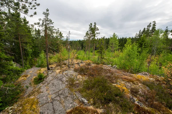 Uitzicht Berg Hiidenvuori Karelië Republiek Karelië Rusland — Stockfoto