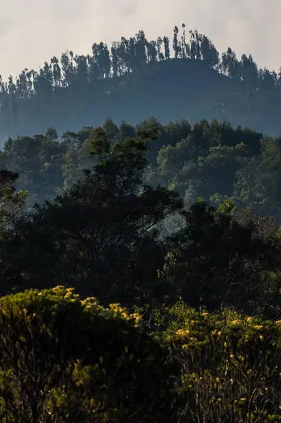Национальный Парк Бромо Тенггер Семеру Восточной Яве Индонезия — стоковое фото