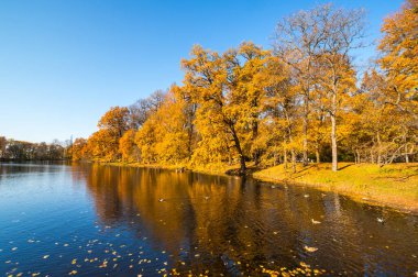 Elagin adasındaki şehir parkı manzarası, SaintPetersburg, Rusya