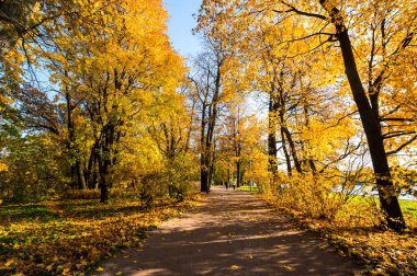 Elagin adasındaki şehir parkı manzarası, SaintPetersburg, Rusya