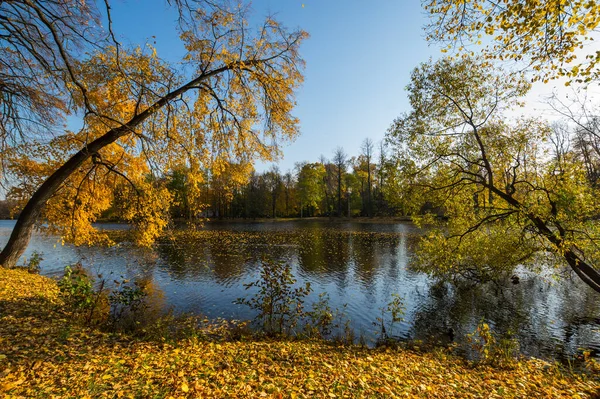 Vue Parc Ville Sur Île Elagin Saint Pétersbourg Russie — Photo