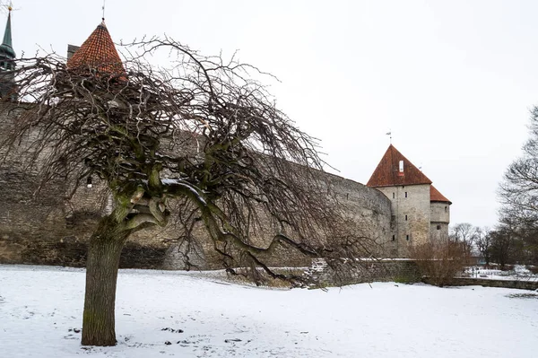 Tallinn Kalesi Estonya Nın Başkenti Eski Şehir Unesco Dünya Mirasları — Stok fotoğraf