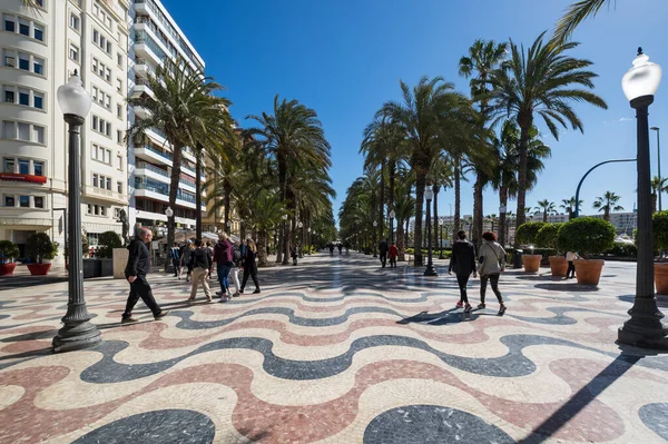 Alicante Spanien April 2019 Blick Auf Die Palmenallee Die Wichtigste — Stockfoto