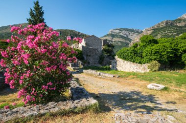 Karadağ 'ın Stari Bar (Eski Bar) kentindeki cadde manzarası