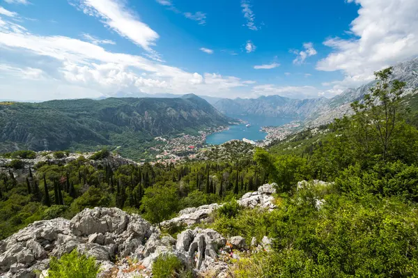 Boka Olarak Bilinen Kotor Körfezi Karadağ Daki Adriyatik Denizi Nin — Stok fotoğraf