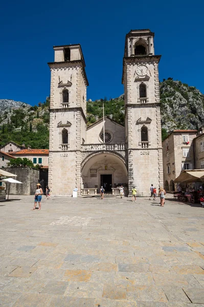 Kotor Montenegro Giugno 2019 Cattedrale San Trifone Kotor Montenegro Una — Foto Stock
