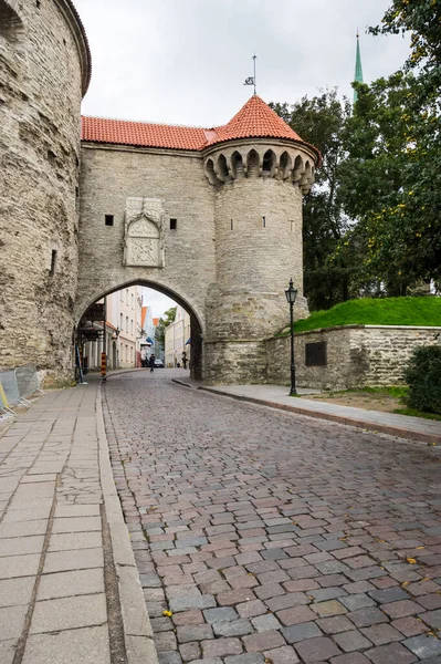 Street Old Tallinn Capital Estonia Old Town Listed Unesco World — Stock Photo, Image