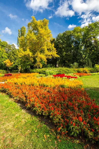 View City Park Margaret Island Budapest Hungary — Stock Photo, Image