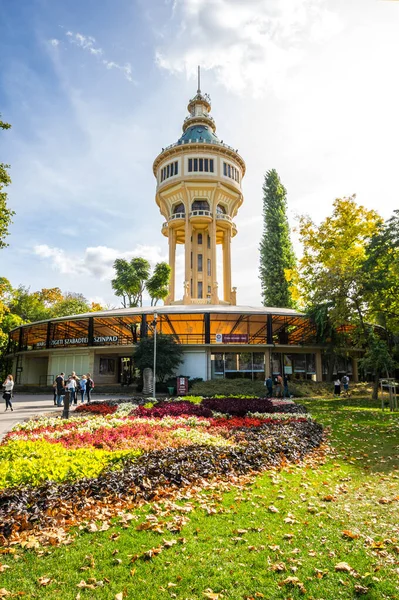 BUDAPEST, HUNGARY - 11 Ekim 2019: Budapeşte, Macaristan 'daki Margaret Adası' ndaki şehir parkı manzarası