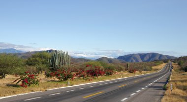 Mexico landscape clipart