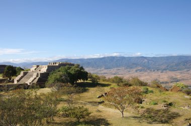 Monte Alban