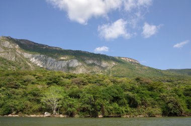 Sumidero