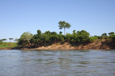 usumacinta Nehri