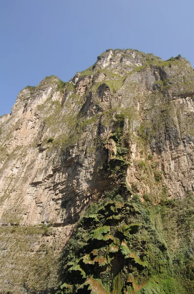 Sumidero — Foto Stock