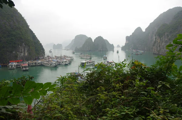 Halong bay — Stock fotografie