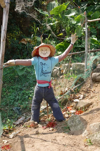 Jardín vegetal con espantapájaros — Foto de Stock