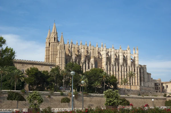 La Seu — Foto Stock