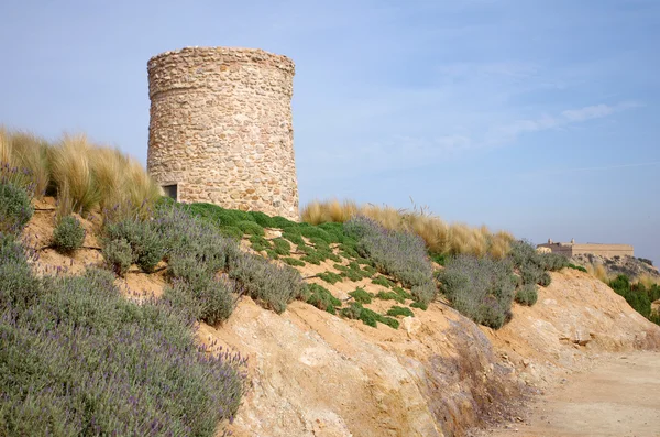 Ruins of Cartagena — Stock Photo, Image