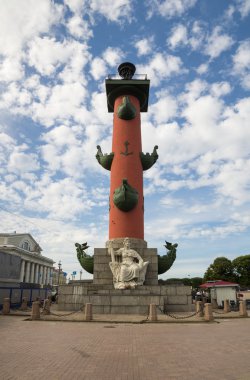 rostral sütun