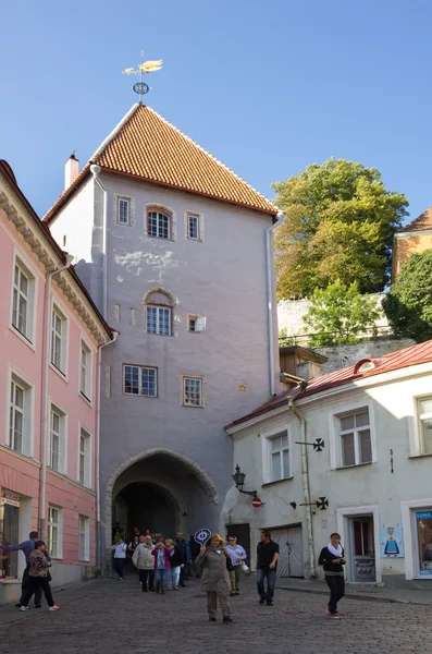 Velho Tallinn — Fotografia de Stock