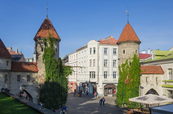 Altes Tallinn — Stockfoto