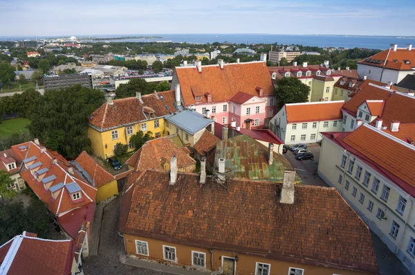 Velho Tallinn — Fotografia de Stock