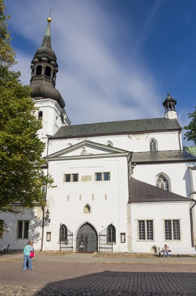 Dome cathedral — Stock Photo, Image