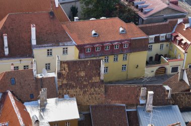 eski tallinn çatılar