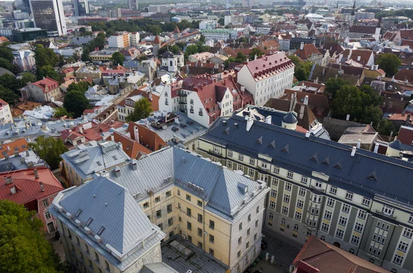 Eski tallinn — Stok fotoğraf