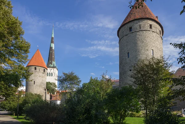 Torri della vecchia Tallinn — Foto Stock