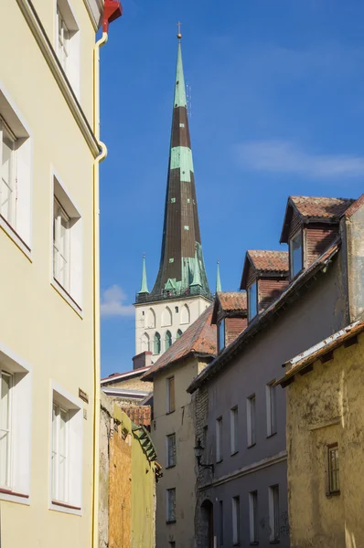 Old Tallinn — Stock Photo, Image