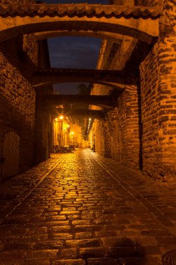 Old Tallinn in the night clipart