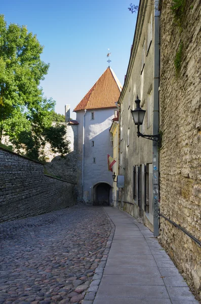 Torre della vecchia Tallinn — Foto Stock