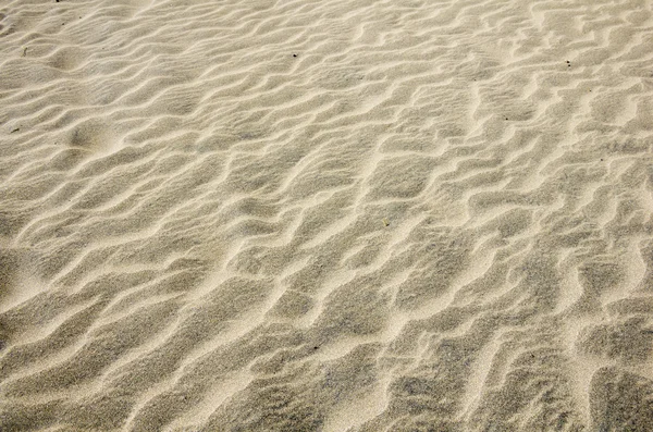 海滩沙地 — 图库照片