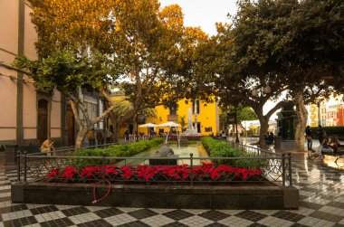 Las Palmas de Gran Kanaryası