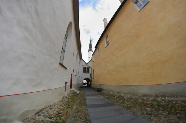 Vecchio Tallinn — Foto Stock