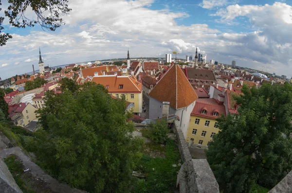 Antiguo Tallin — Foto de Stock