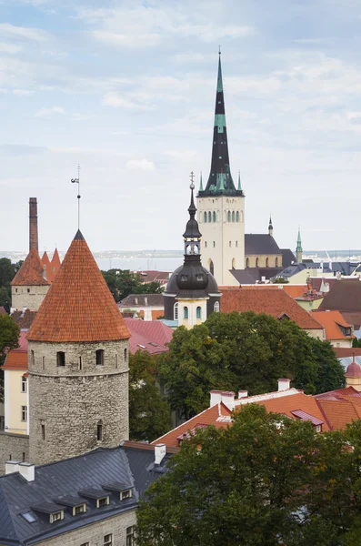 Velho Tallinn — Fotografia de Stock