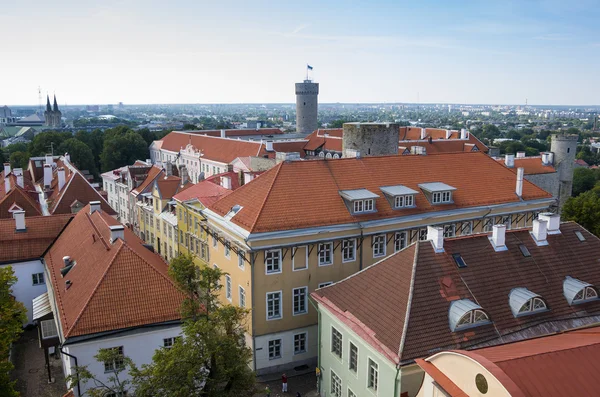 Starý tallinn — Stock fotografie