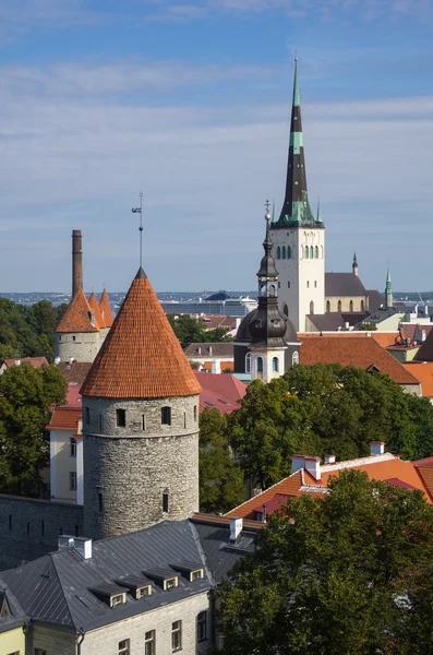 Velho Tallinn — Fotografia de Stock