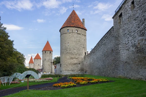 Torri della vecchia Tallinn — Foto Stock