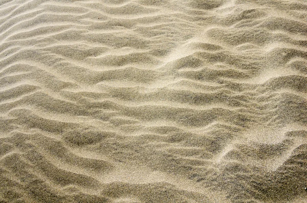 海滩沙地 — 图库照片