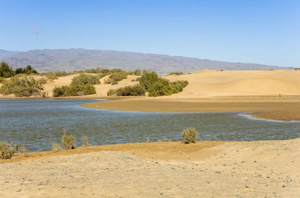 Laguna en Maspalomas — Foto de Stock