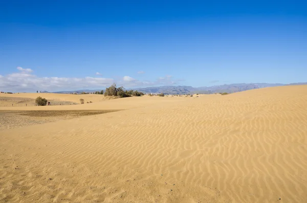 Dunes of Maspalomas — Stock Photo, Image