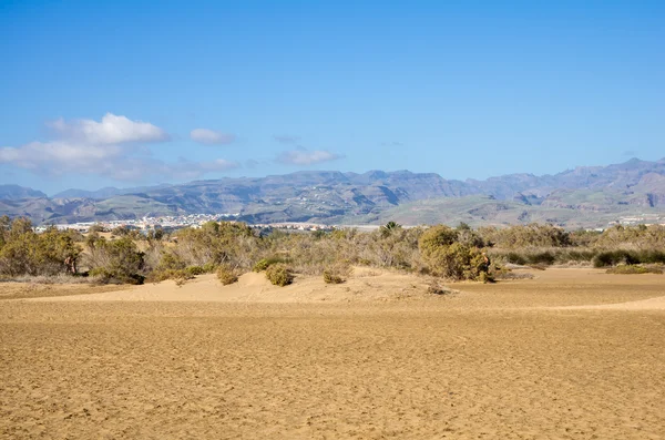 Dunas de maspalomas — Fotografia de Stock