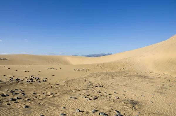 Dunes of Maspalomas — Stock Photo, Image