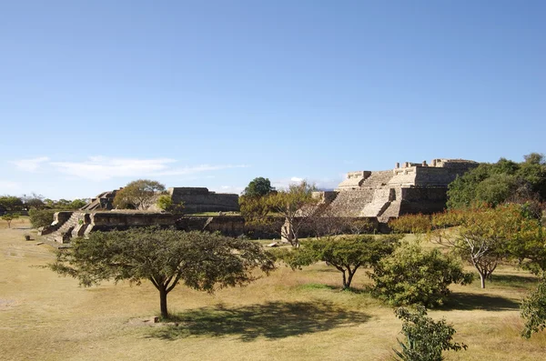 Monte Alban — Stock Photo, Image