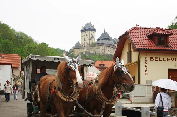 Karlstejn Kalesi — Stok fotoğraf