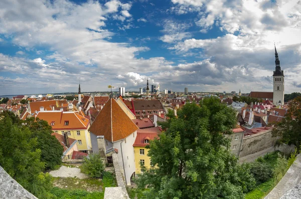 Gamla tallinn — Stockfoto