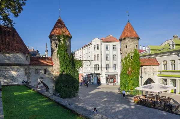 Altes Tallinn — Stockfoto